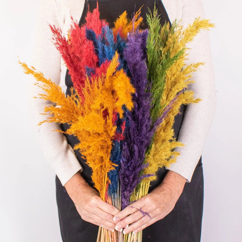 Cortaderia Assorted wholesale flowers in hand