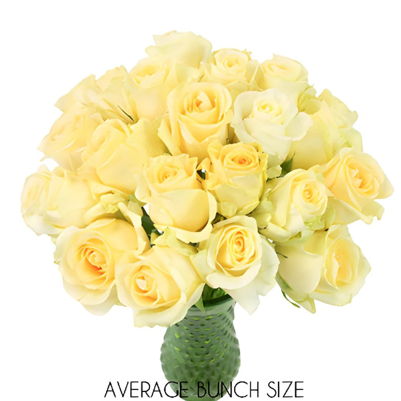Lemon Sherbet Sweetheart Roses