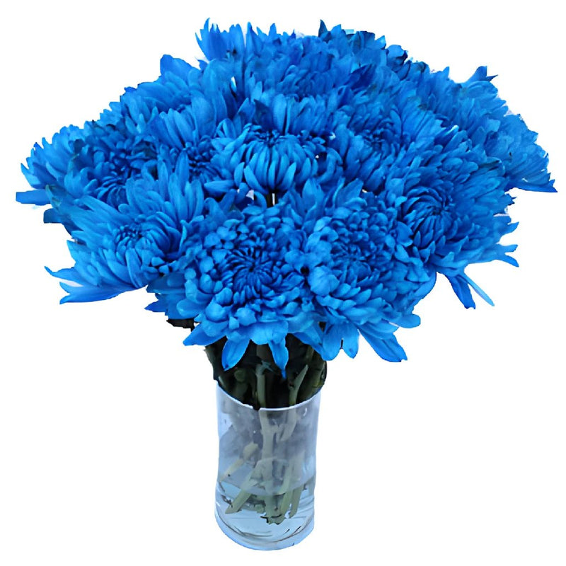 Blue Cremon Bulk Flowers