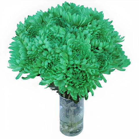 Green Cremon Bulk Flowers