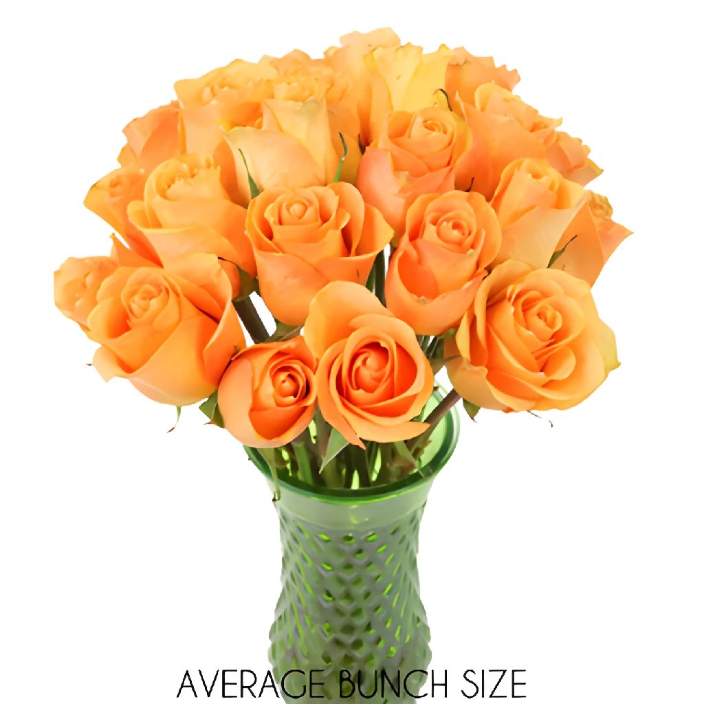 Buy Wholesale Peach Sweetheart Roses In Bulk - FiftyFlowers