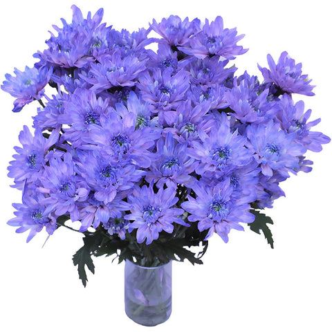 Pastel Purple Enhanced Flower