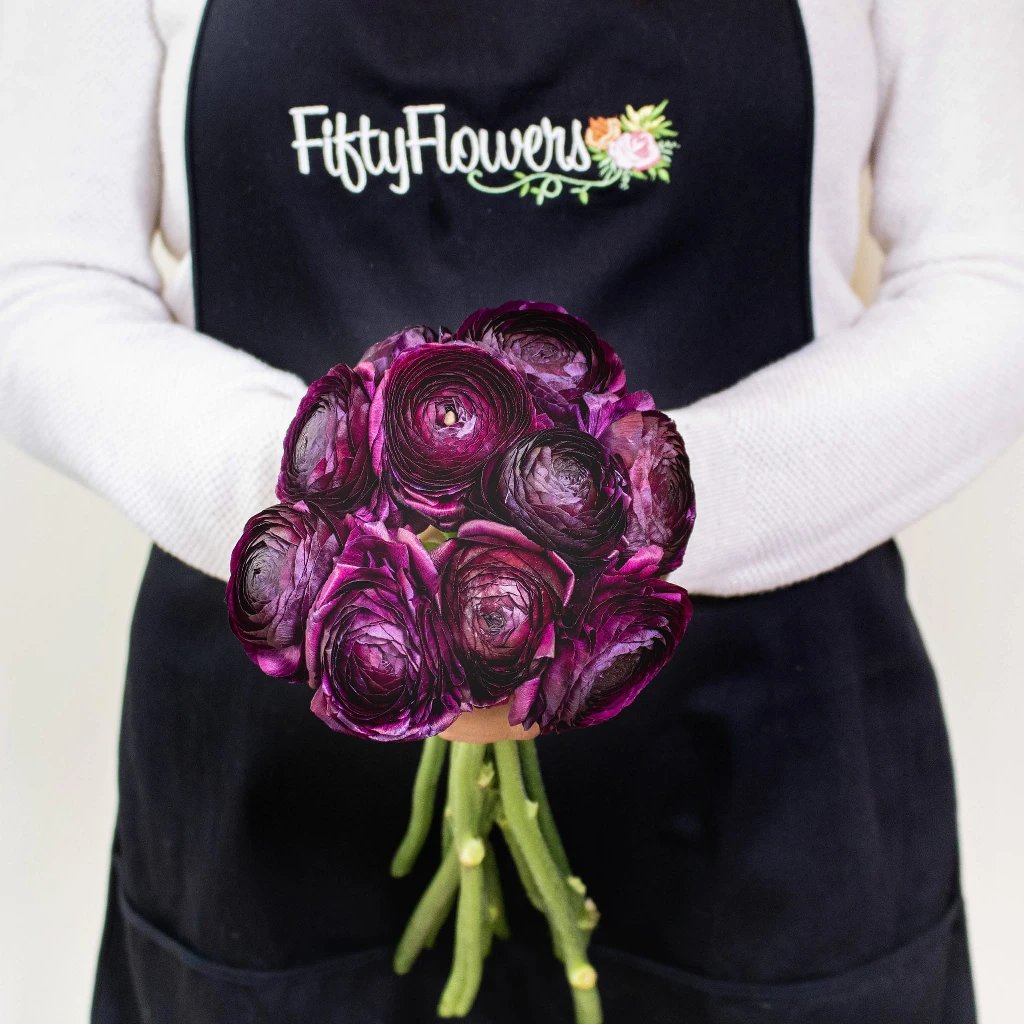 Buy Wholesale Violet Ranunculus Fresh Cut Flower In Bulk - FiftyFlo...