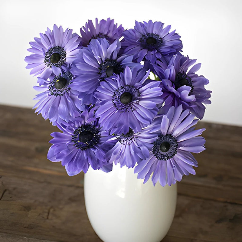 Blue Full Star Anemone Wholesale Flower Bunch in a hand