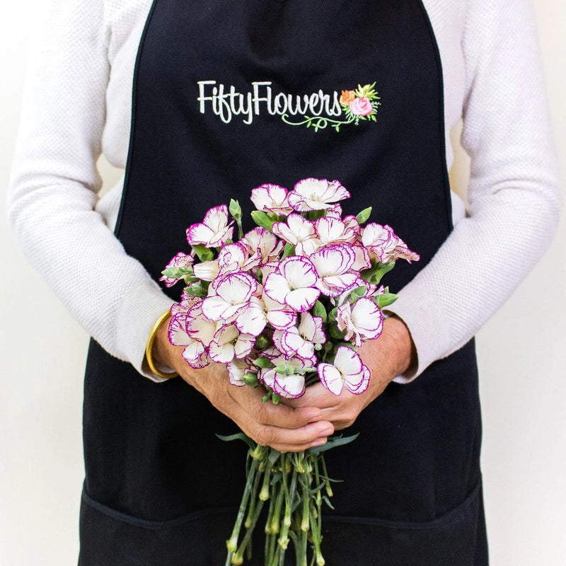 Purple and White Solomio Wholesale Flowers Bunch In a Hand