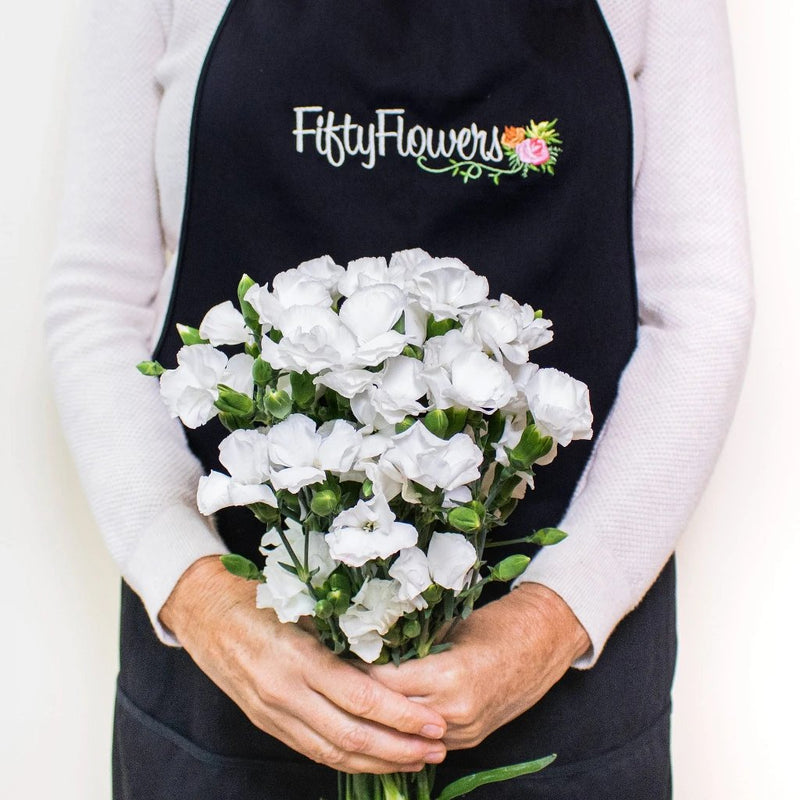 White Solomio Wholesale Flowers Bunch In a Hand