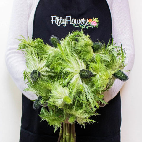 Green Thistle Wholesale Flowers Bunch In a Hand