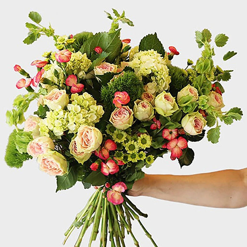 Green hydrangea wholesale flower bouquet in a hand