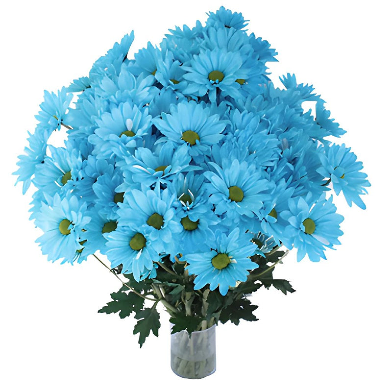 Set of 10 Artificial Daisy Flower Stems in Multiple Colors Blue