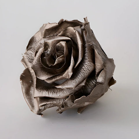 Preserved Dark Gold Rose