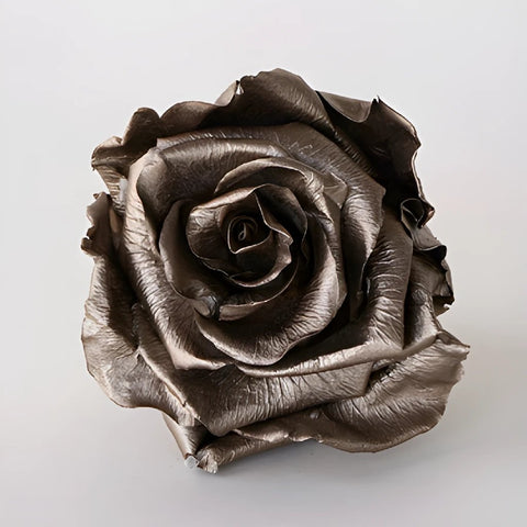 Preserved Dark Gold Rose