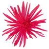 Hot Pink Airbrushed Spider Flower