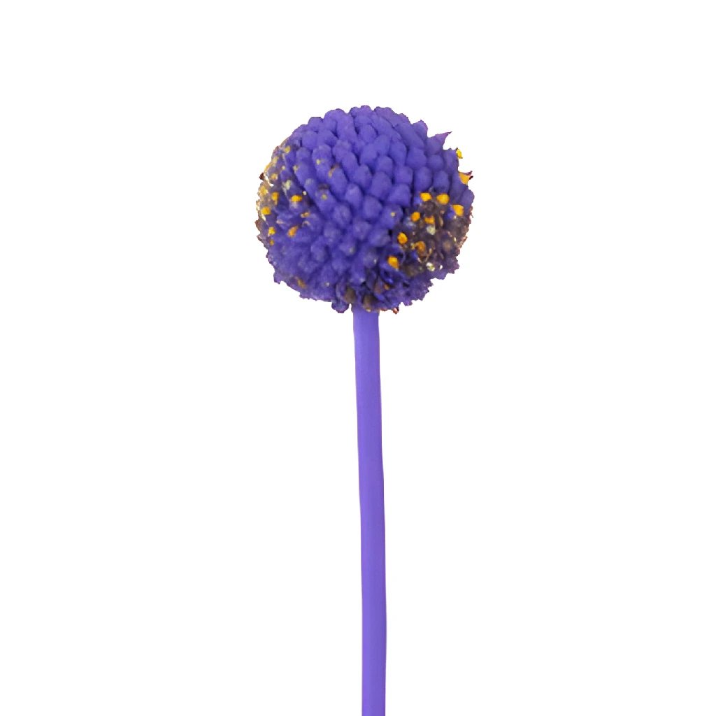 Purple Flowers Balls