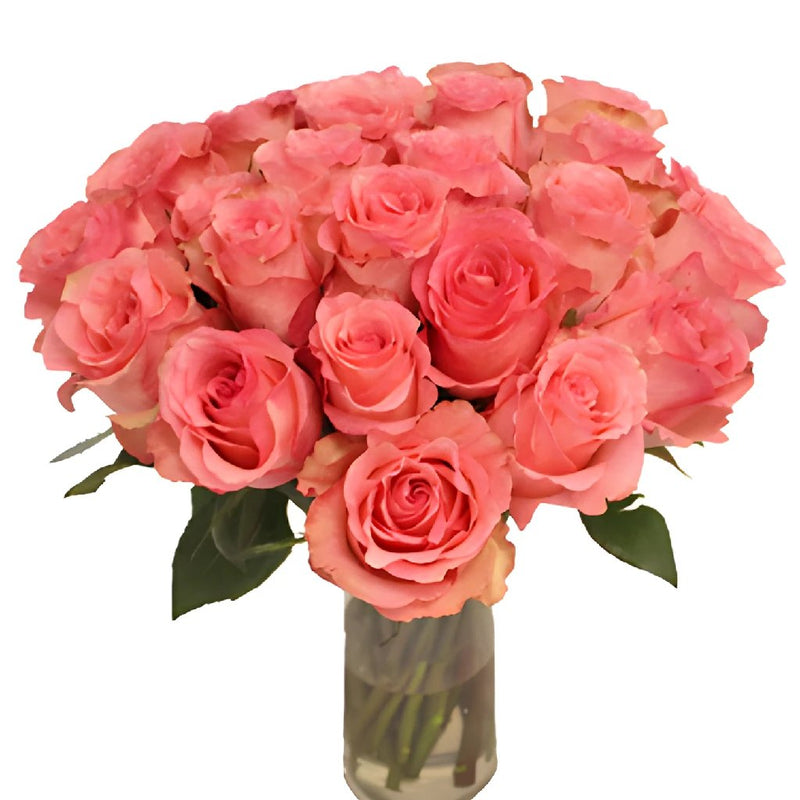 Dekora Bulk Pink Roses