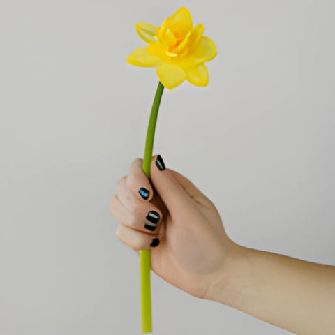 Double Trouble Daffodil Flower