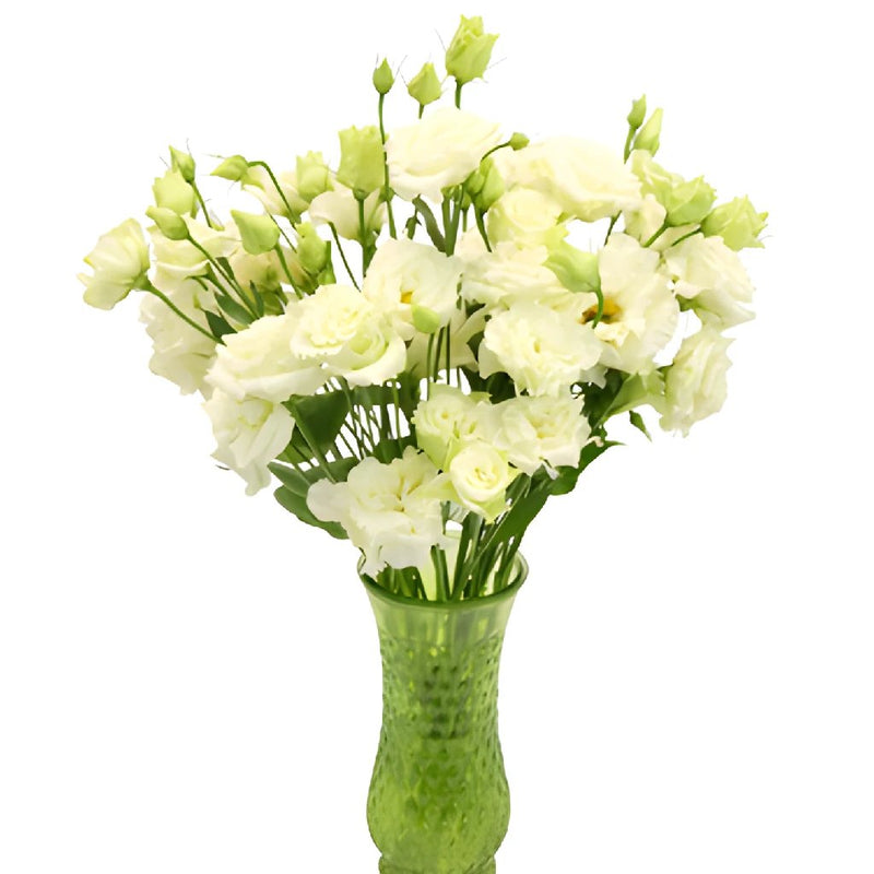 double-alissa-white-Lisianthus-DIY-Wedding-Flower-online