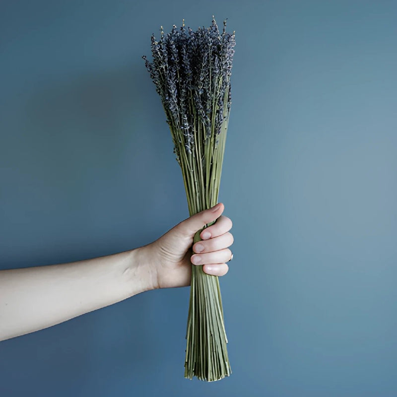 Dried Lavender Stems With Flowers - 100 Stems -18 Inches Long