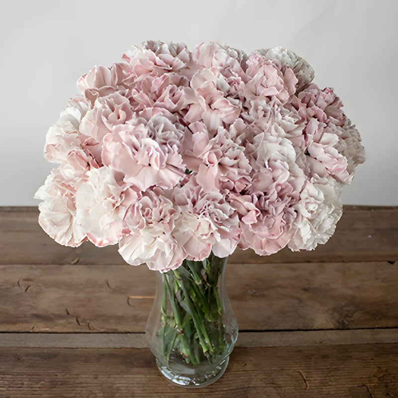 Dusty Pink Carnations in a vase