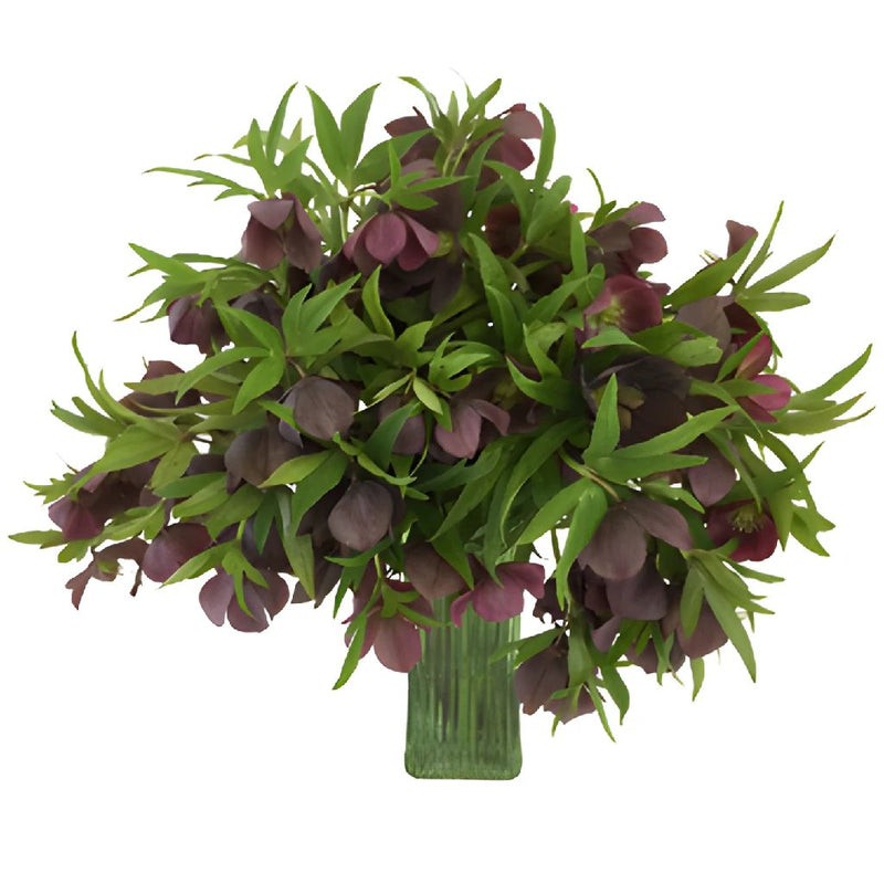 Eggplant Wedding Designer Hellebore Flowers