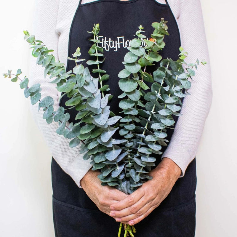 Eucalyptus Baby Wholesale Greenery Bunch In a Hand