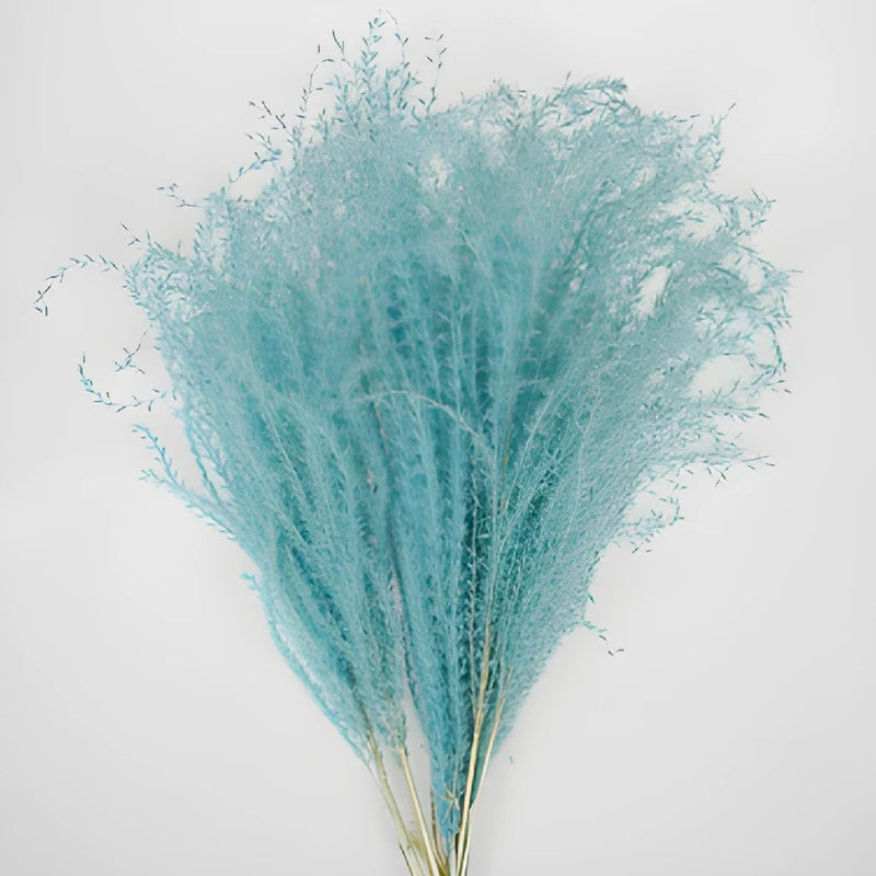 Light Blue Dried Eulalia Grass