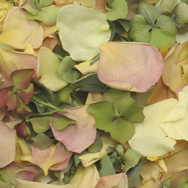 Assorted Flower Petal blend of Wedding Petals, Rose Petals from Flyboy  Naturals