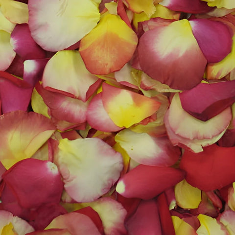 Fall Wedding Dried Rose Petals