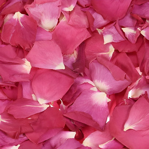 Buy Pink Dried Rose Petals