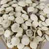 Dried Vintage White Floral Buttons