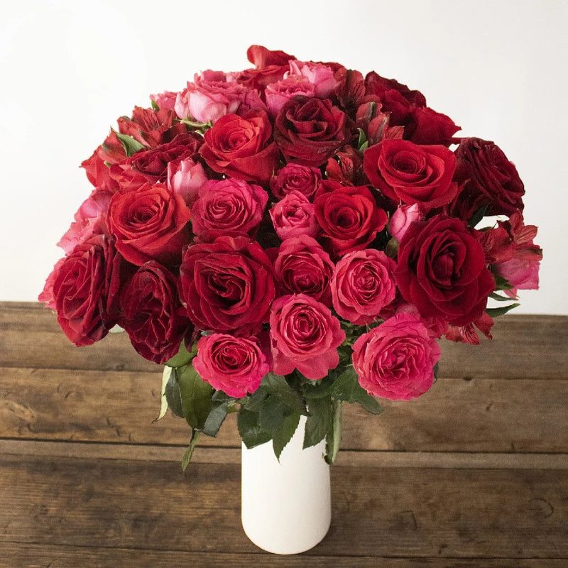 Buy Wholesale Rich Red Tinto Rose in Bulk - FiftyFlowers