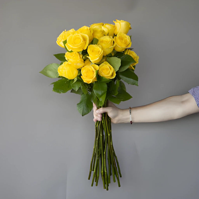 Fresh European Cut Yellow Roses For Your House