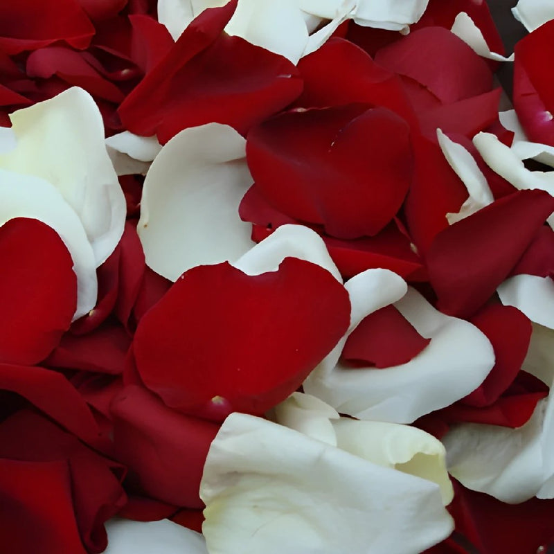 Love Roses Petals for a wedding