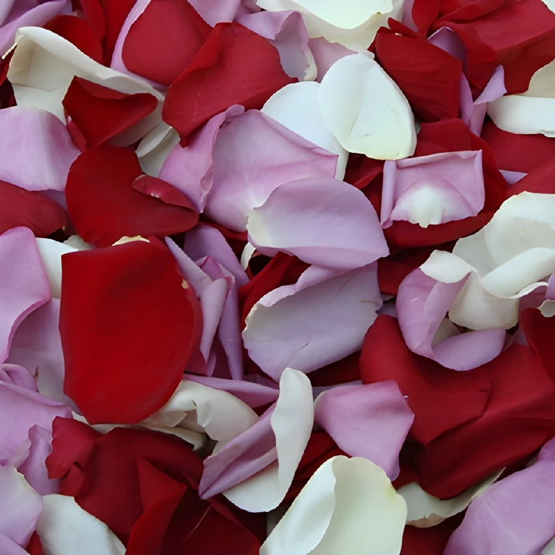 Buy Rose Petals for a wedding
