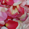 Pinksicle Rose Petals