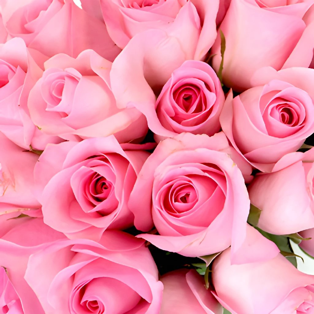 Wholesale Sweetheart Roses ᐉ Buy Bulk Sweetheart Roses In FiftyFlowers