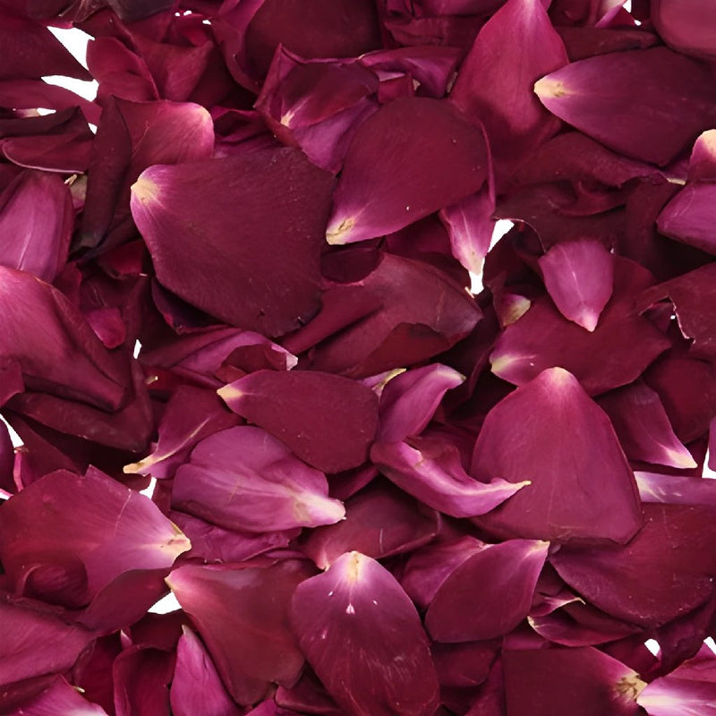 Buy Wholesale Red Rose Petals in Bulk - FiftyFlowers