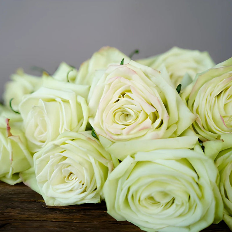 Valentines Green Rose Special