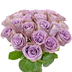 Lavender color flowers for wedding wholesale ᐉ bulk lavender color ...