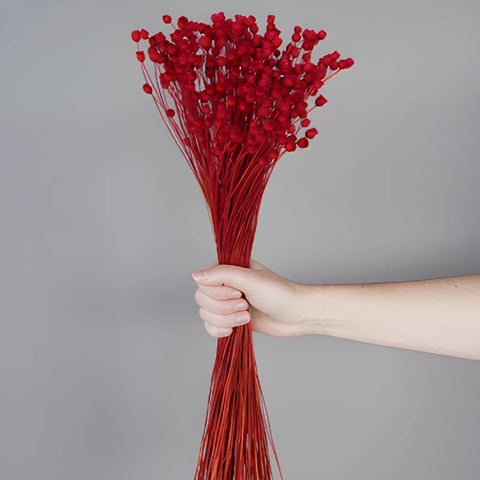 Dried Red Velvet Happy Flowers
