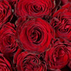Heart Garden Rose Red Flower