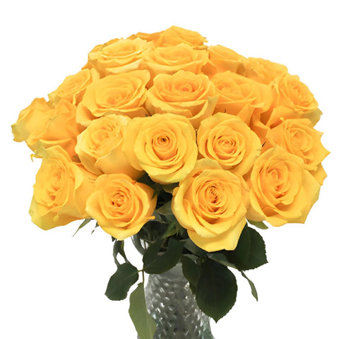High Exotic Bright Yellow Rose