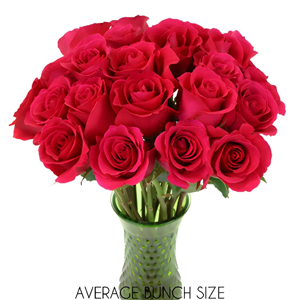 Buy Wholesale Pink Cherry Sweetheart Roses In Bulk - FiftyFlowers