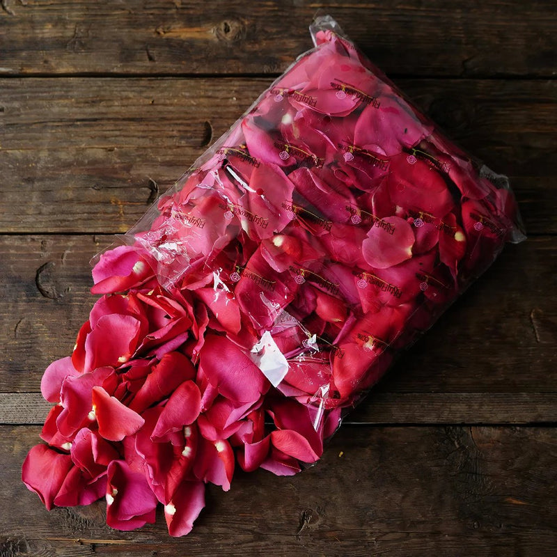 Hot Pink Fresh Rose Petals Wholesale