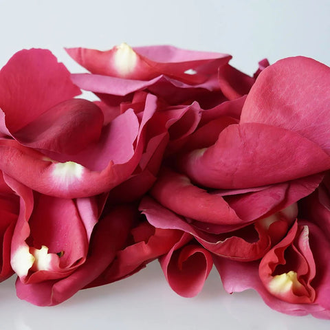 Buy Wholesale Hot Pink Rose Petals in Bulk - FiftyFlowers