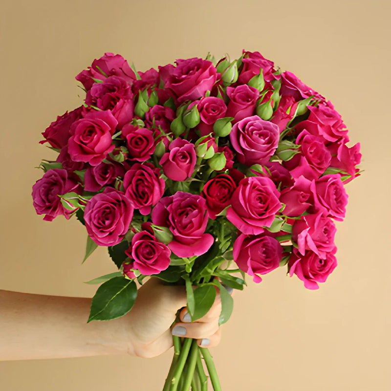 Hot Majolika hot pink Wholesale Rose Bunch in a hand