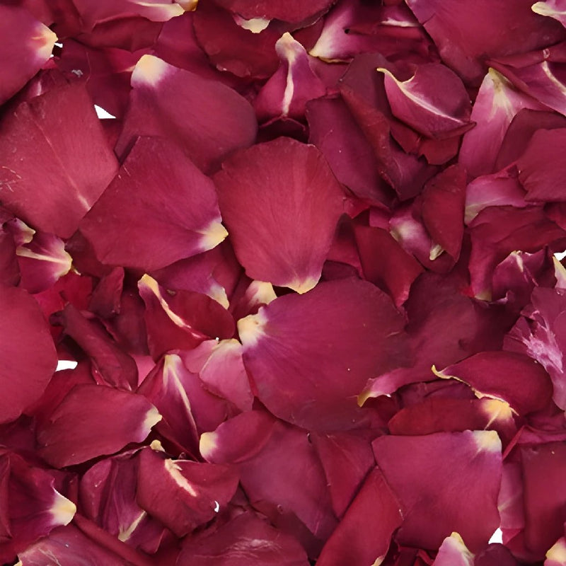 Freeze Dried Rose Petals, Burgundy, 5 Cups of REAL Rose Petals, Perfectly  Preserved 