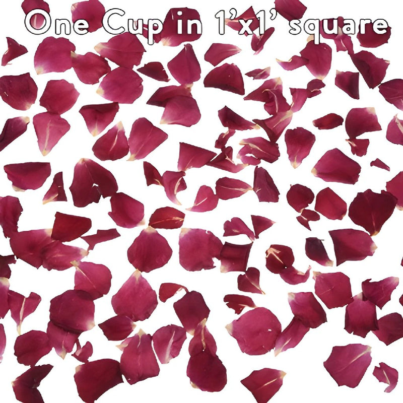 Dried Rose Petals Red Wedding
