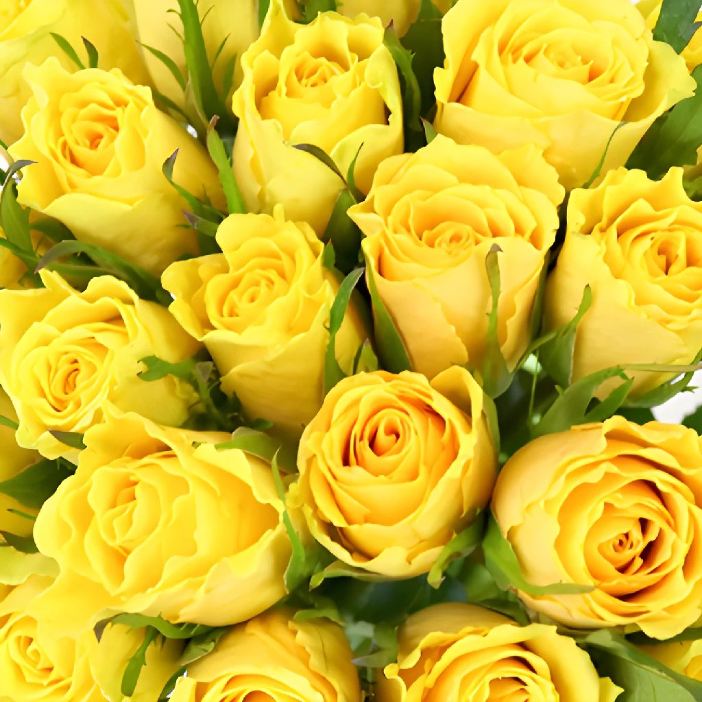 Buy Wholesale Yellow Idol Sweetheart Roses in Bulk - FiftyFlowers
