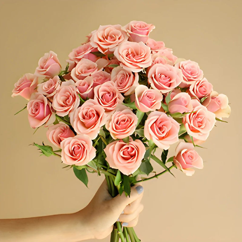 Ilse pale pink Wholesale Rose Bunch in a hand