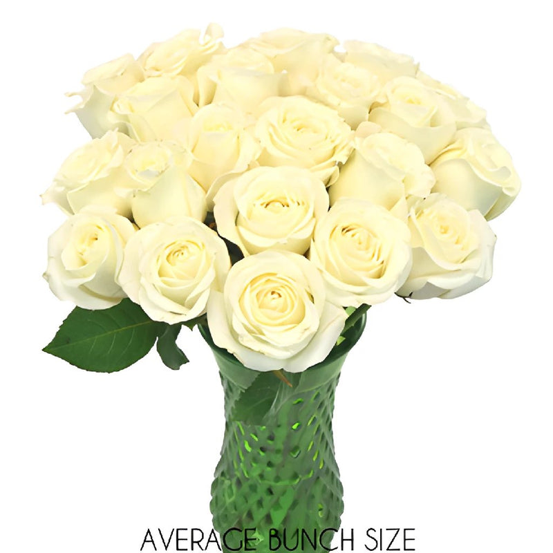 Soft White Sweetheart Roses